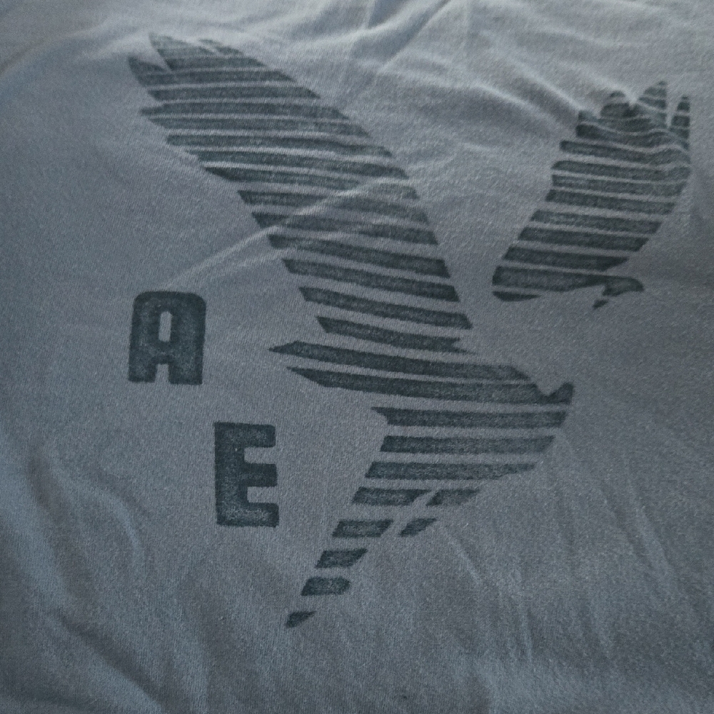 American Eagle Outfitters Charcoal Gray Striped Eagle Soft T Shirt